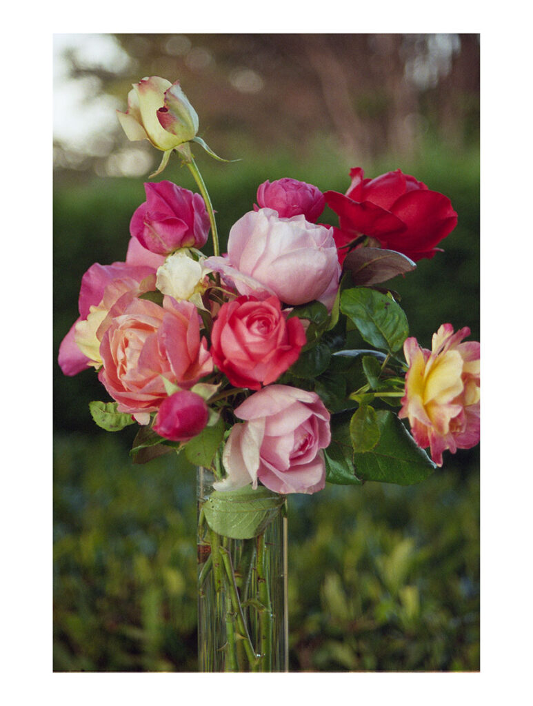 Les roses du jardin de Claudine (1) Saint-Cyr-au-Mont-d’Or, 2020 – Edition 7