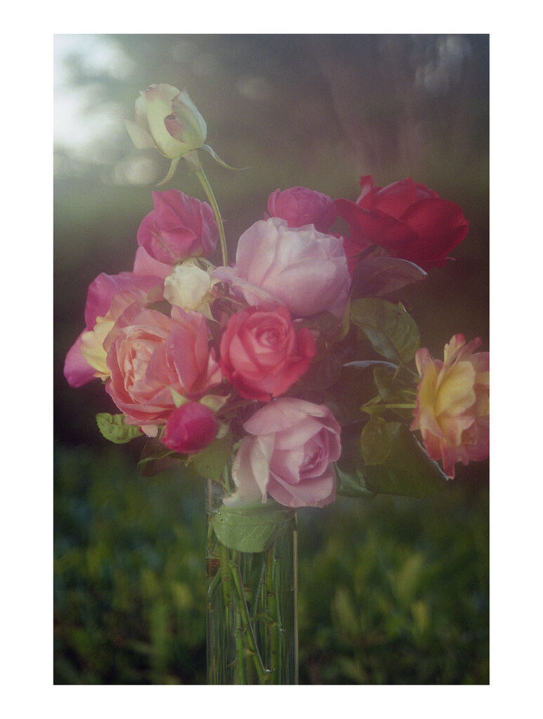 Les roses du jardin de Claudine (2) Saint-Cyr-au-Mont-d’Or, 2020 – Edition 7