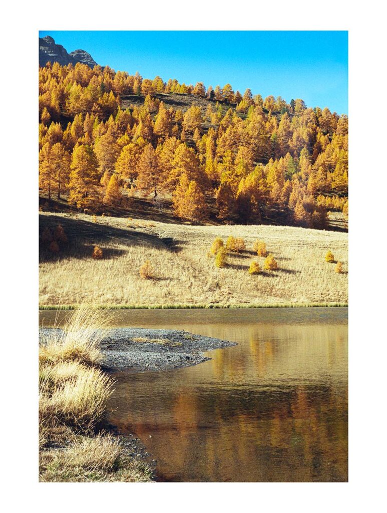 Les mélèzes en automne, Hautes-Alpes, octobre 2020 – Edition 7