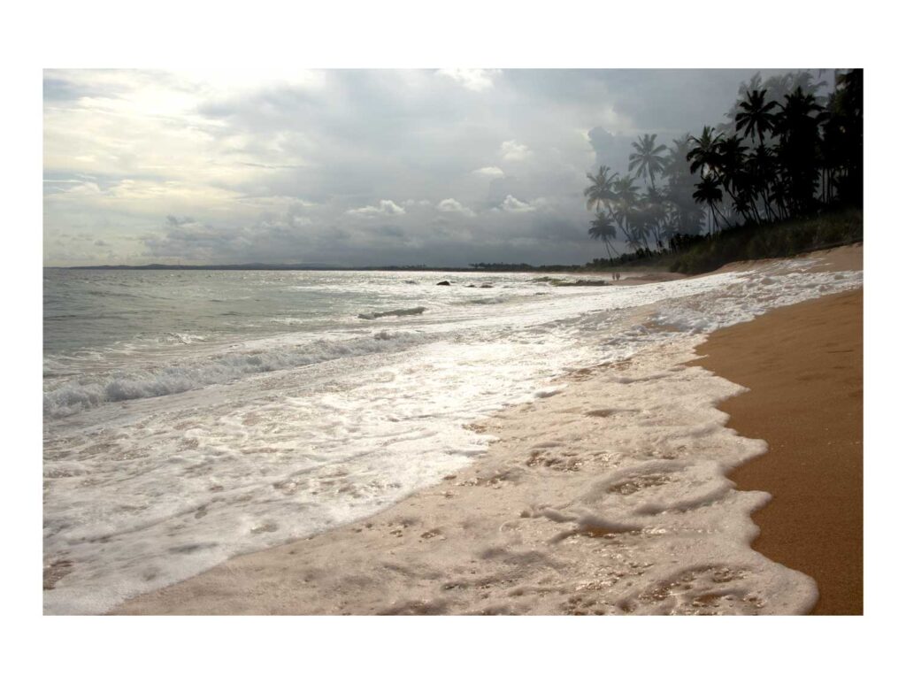 Turtle Beach - Rekawa (Sri Lanka), avril 2025 – Edition 7