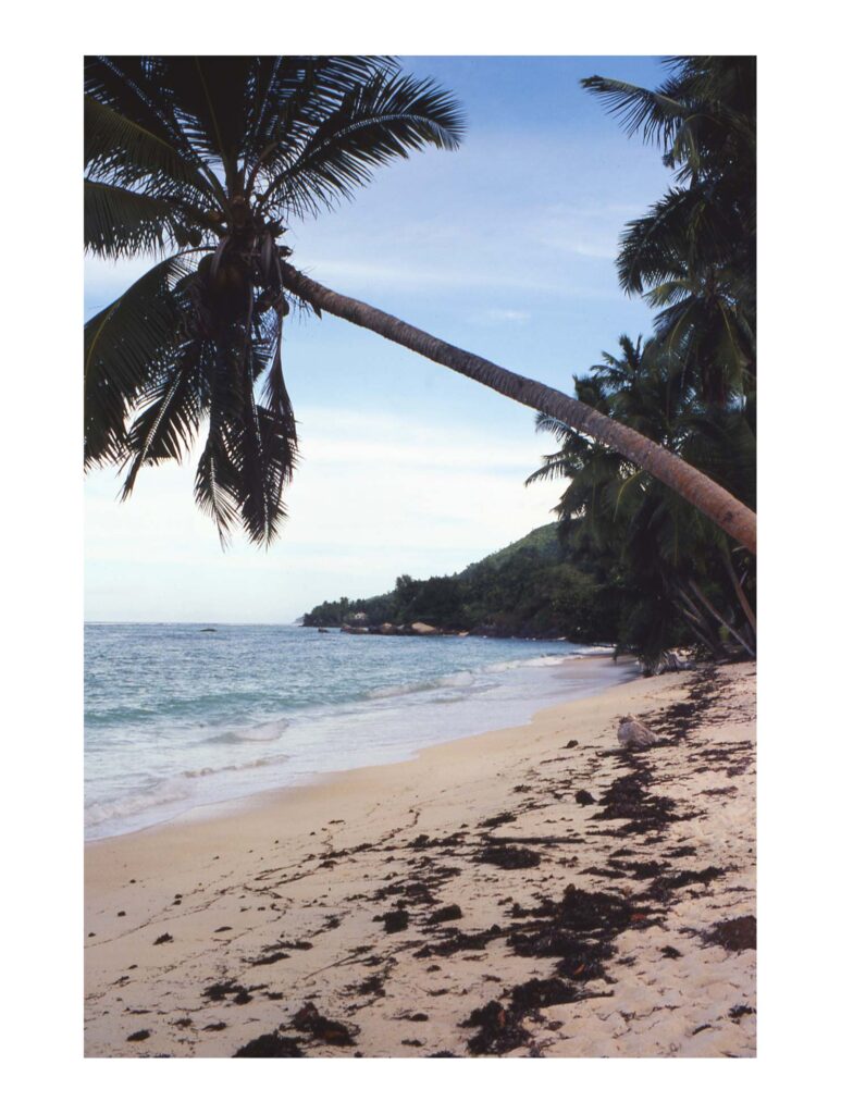 Goodbye Seychelles - île de Mahé (Seychelles), juillet 1981 – Edition 7